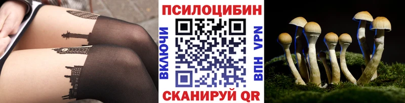 Псилоцибиновые грибы MAGIC MUSHROOMS  OMG маркетплейс  Тимашёвск  хочу наркоту 